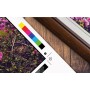 Epson SureColor SC-P9500 stampante grandi formati Ad inchiostro A colori 1200 x 2400 DPI A1 (594 x 841 mm) Colleg (C11CH13301A0)