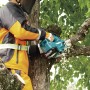 Makita UC002GM101 non classificato