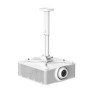 Kindermann Premium MA 60 supporto per proiettore Soffitto Bianco (7460000061)