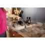 Kärcher SC 4 Deluxe Pulitore a vapore cilindrico 1,3 L 2200 W Multicolore (1.513-460.0)