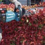 Makita UH006GZ non classificato