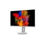 Fujitsu P2711 TE QHD Monitor PC 68,6 cm (27") 2560 x 1440 Pixel Quad HD LED Grigio (S26361-K1703-V140)