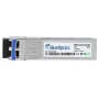 BlueOptics SFPL-0032-R00-BO modulo del ricetrasmettitore di rete Fibra ottica 32000 Mbit/s SFP28 1310 nm