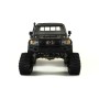 Amewi AMXROCK RCX10TP modellino radiocomandato (RC) Macchina fuoristrada Motore elettrico 1:10 (22459)