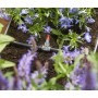 Gardena 1407-20 non classificato (1407-20) (01407-20)