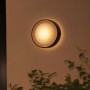 Philips Hue White and Color ambiance 1746530P7 Illuminazione da parete da esterno 15 W Nero (17465/30/P7) (915005843201)