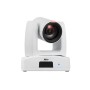AVer PTZ231 2 MP Bianco 1920 x 1080 Pixel 60 fps CMOS Exmor 25,4 / 2,8 mm (1 / 2.8") (61S3320000AC)