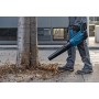 Bosch GBL 18V-750 PROFESSIONAL soffiatore di foglie cordless 198 km/h Nero, Blu, Rosso (06008D2000)