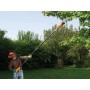 Hoch-Entaster PS7525 (orange/schwarz, 800 Watt) (PS7525-QS)