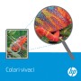 HP C4196A kit per stampante Kit di trasferimento (C4196A)