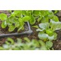 Micro-Drip-System L-Stck 4,6mm (3/16") (dunkelgrau, 10 Stck, Modell 2023) (13212-20)