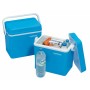 Campingaz 22254ZCL borsa frigo 17 L Blu