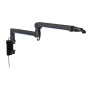 Mikrofonhalterung Broadcast Low Profile RGB Boom Arm (schwarz, fr Mikrofone bis 2kg, LED-Hintergrundbeleuchtung) (EY0A010)