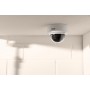 ABUS TVIP44511 telecamera di sorveglianza Cupola Telecamera di sicurezza IP Interno e esterno 2688 x 1520 Pixel Soffitto