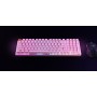 Glorious Gaming GMMK 2 tastiera USB Inglese US Rosa (GLO-GMMK2-96-FOX-P)