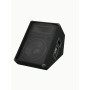 Omnitronic 11038012 monitor da palco Monitor cuneiforme