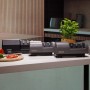 Graef SG520 Affilacoltelli elettrico Grigio scuro (SG 520 EU)
