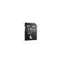 Angelbird Technologies 17105011128 memoria flash 128 GB SDXC UHS-II Classe 10 (AVP128SDMK2V90)