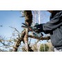 Metabo MS 18 LTX 15 1 Giri/min Nero, Verde, Rosso (600856500)