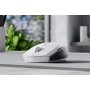 Razer Pro Click Mini mouse Ambidestro RF senza fili + Bluetooth Ottico 12000 DPI (RZ01-03990100-R3G1)