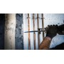Bosch S 1156 XHM Lama per sega universale Acciaio al carbonio (HCS) 1 pz (2608900391)