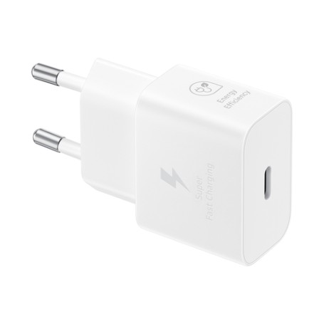 Samsung Caricabatterie Super Fast Charging (25W) con cavo da USB Type-C a USB Type-C (EP-T2510XWEGEU)