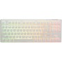 Ducky One 3 Classic Pure White TKL Gaming Tastatur RGB LED - MX-Clear tastiera USB Tedesco Bianco (DKON2187ST-WDEPDPWWWSC1)