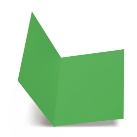 Favini A50D664 cartella Verde A4 (A50D664)