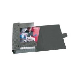 Esselte 390304040 scatola per la conservazione di documenti Grigio (390304040)
