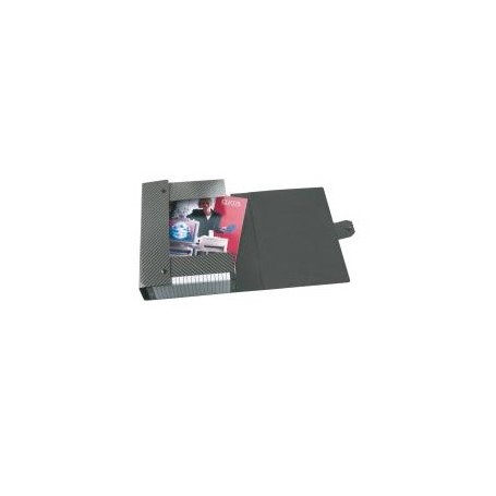 Esselte 390304040 scatola per la conservazione di documenti Grigio (390304040)