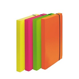 Fellowes 1028101 cartella Polipropilene (PP) Multicolore A4 (1028101)
