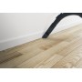 Hoover H-POWER 300 HP330ALG 011 2 L A cilindro Secco 850 W Senza sacchetto (39002261)