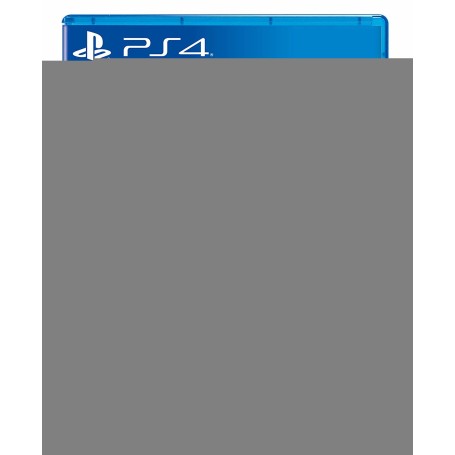 Activision Crash Team Racing Nitro-Fueled, PS4 Standard ITA PlayStation 4 (88388IT)