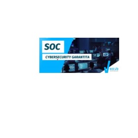 CYBSEC FL MNGD SOCH24 END D&R 100DV (CS-SOC-MDR-100)