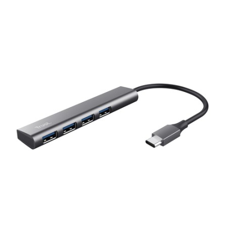 Trust Halyx USB 3.2 Gen 1 (3.1 Gen 1) Type-A 5 Mbit/s Grigio (24948)
