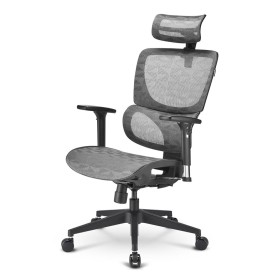 Sharkoon OfficePal C30M Seduta in rete Schienale a rete (OFFICEPAL C30M)