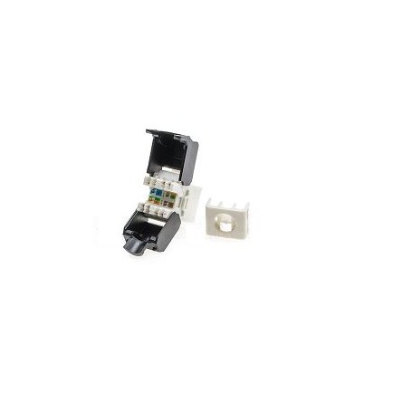Keystone Jack RJ45 Cat.6 Bianco UTP tooless (NL-5602415)