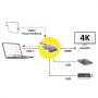 ROLINE 12.02.1120 replicatore di porte e docking station per laptop Cablato USB 3.2 Gen 1 (3.1 Gen 1) Type-C Oro
