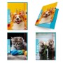 CF6 CARTELLA 3 LEMBI BABY DORSO 1 (0110125)