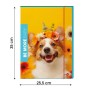 CF6 CARTELLA 3 LEMBI BABY DORSO 1 (0110125)