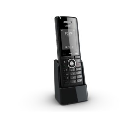 m65 DECT (3969)