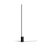 Philips Hue White and Color ambiance Lampada da terra Signe gradient (915005987201)