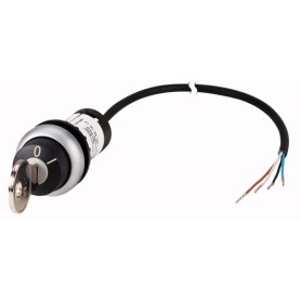 Eaton C22-WRS-MS1-K10-P62 Chiave (186263)
