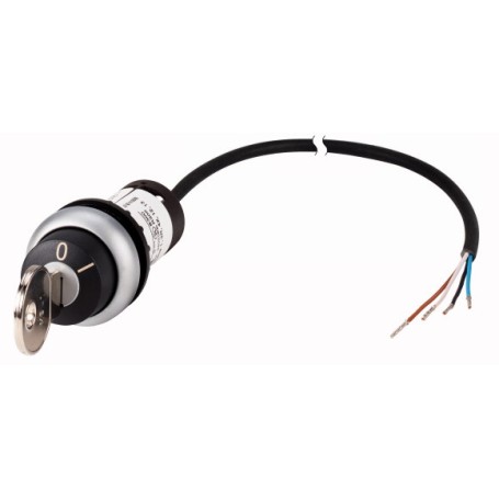 Eaton C22-WRS-MS1-K10-P62 Chiave (186263)