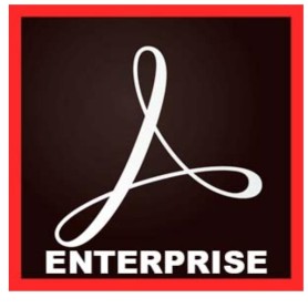 ACROBAT PRO_ENTERP_MULTI (65322648CA01A12)