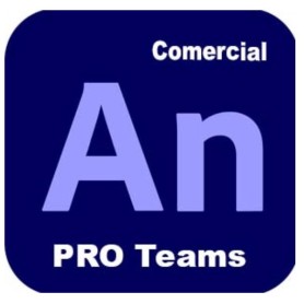 ANIMATE - PRO TEAMS MULTI (65324802CA01A12)