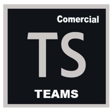 TECHSUITE TEAMS ML NEW GOV (30004190CC01A12)