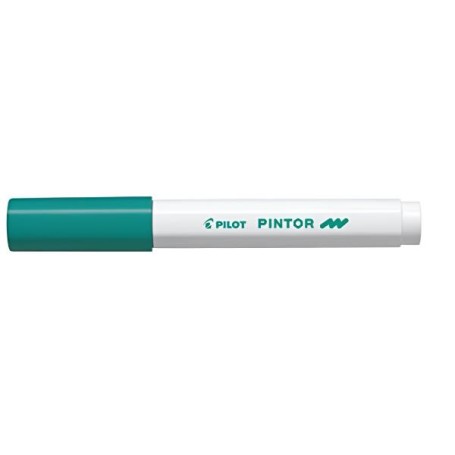 CF6 MK PINTOR FINE VERDE  SW-PT-F-G (002324)