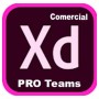 XD PRO TEAMS ML NEW GOV (30006404CC01A12)