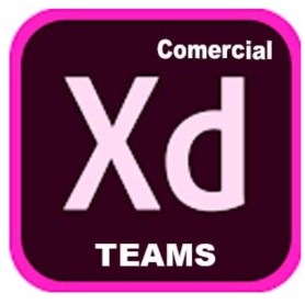 XD PRO TEAMS ML NEW GOV (30006432CC01A12)